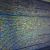 Malware “Plague” Bypasses Defenses